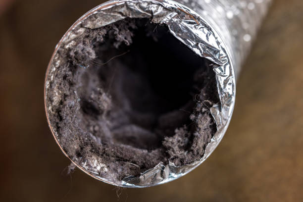 Best Air Vent Cleaning Services  in White Oak, MD