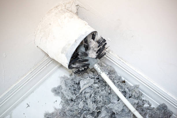 Best Professional Duct Cleaning Services  in White Oak, MD
